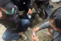 Pelaku YS bersama barang bukti saat diamankan petugas Satresnarkoba Polres Toraja Utara di Jalan Frans Karangan, Rantepao, Rabu (7/5/2025) (Foto: Humas).