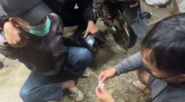 Pelaku YS bersama barang bukti saat diamankan petugas Satresnarkoba Polres Toraja Utara di Jalan Frans Karangan, Rantepao, Rabu (7/5/2025) (Foto: Humas).