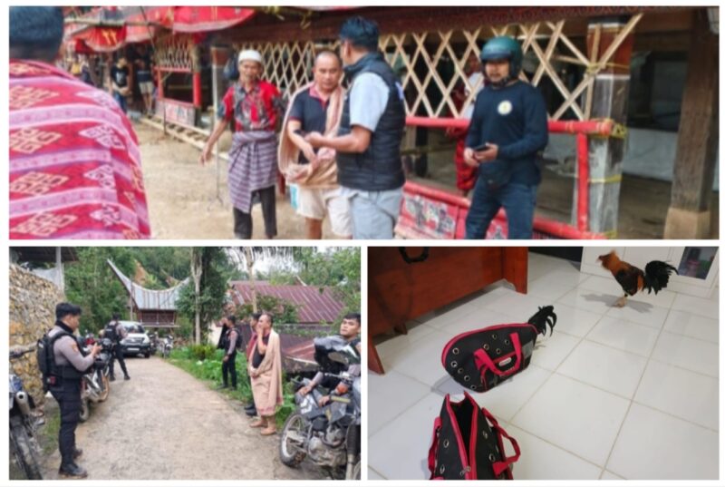 Petugas gabungan dari Polres Toraja Utara dan Polsek Tondon Nanggala saat menggerebek lokasi judi sabung ayam di Tondon Matallo, Jumat (16/05/2025) (Foto: Humas).