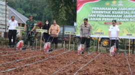 KapolreToraja Utara AKBP Stephanus Luckyto bersama Forkoponda menggelar penanaman jagung serantak dilaksanakan di salah satu Lahan Perhutanan Sosial, yang terletak di Kelurahan Pa'paelean, sanggalangi’, Toraja Utara, Rabu (09/07/2025) (Foto: Istimewa).