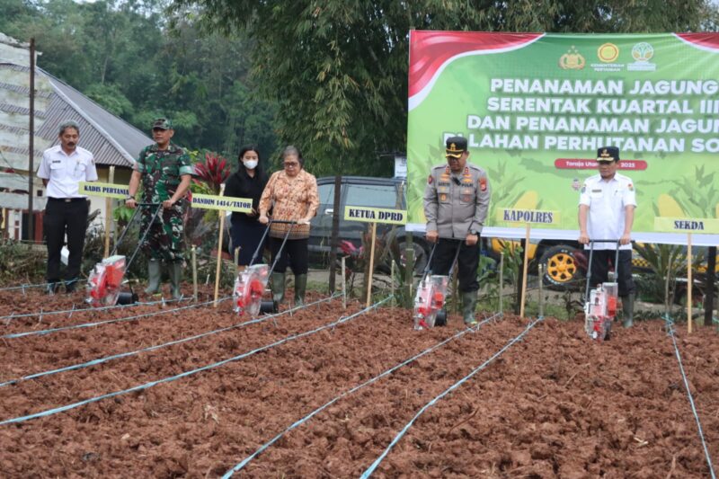 KapolreToraja Utara AKBP Stephanus Luckyto bersama Forkoponda menggelar penanaman jagung serantak dilaksanakan di salah satu Lahan Perhutanan Sosial, yang terletak di Kelurahan Pa'paelean, sanggalangi’, Toraja Utara, Rabu (09/07/2025) (Foto: Istimewa).