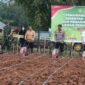 KapolreToraja Utara AKBP Stephanus Luckyto bersama Forkoponda menggelar penanaman jagung serantak dilaksanakan di salah satu Lahan Perhutanan Sosial, yang terletak di Kelurahan Pa'paelean, sanggalangi’, Toraja Utara, Rabu (09/07/2025) (Foto: Istimewa).